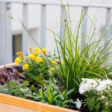 Poha House Buechel *