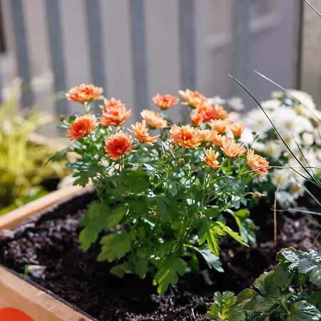 Poha House Buechel Apartament