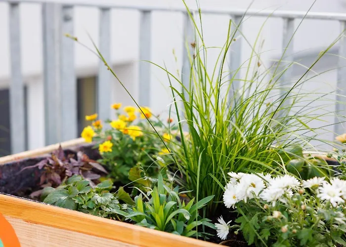 Poha House Buechel *