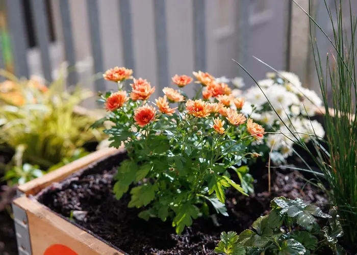 Poha House Buechel Appartement